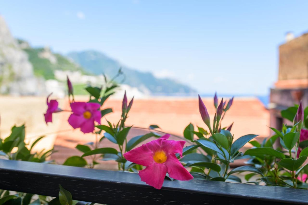 Zagara E Sirene Lägenhet Amalfi Exteriör bild
